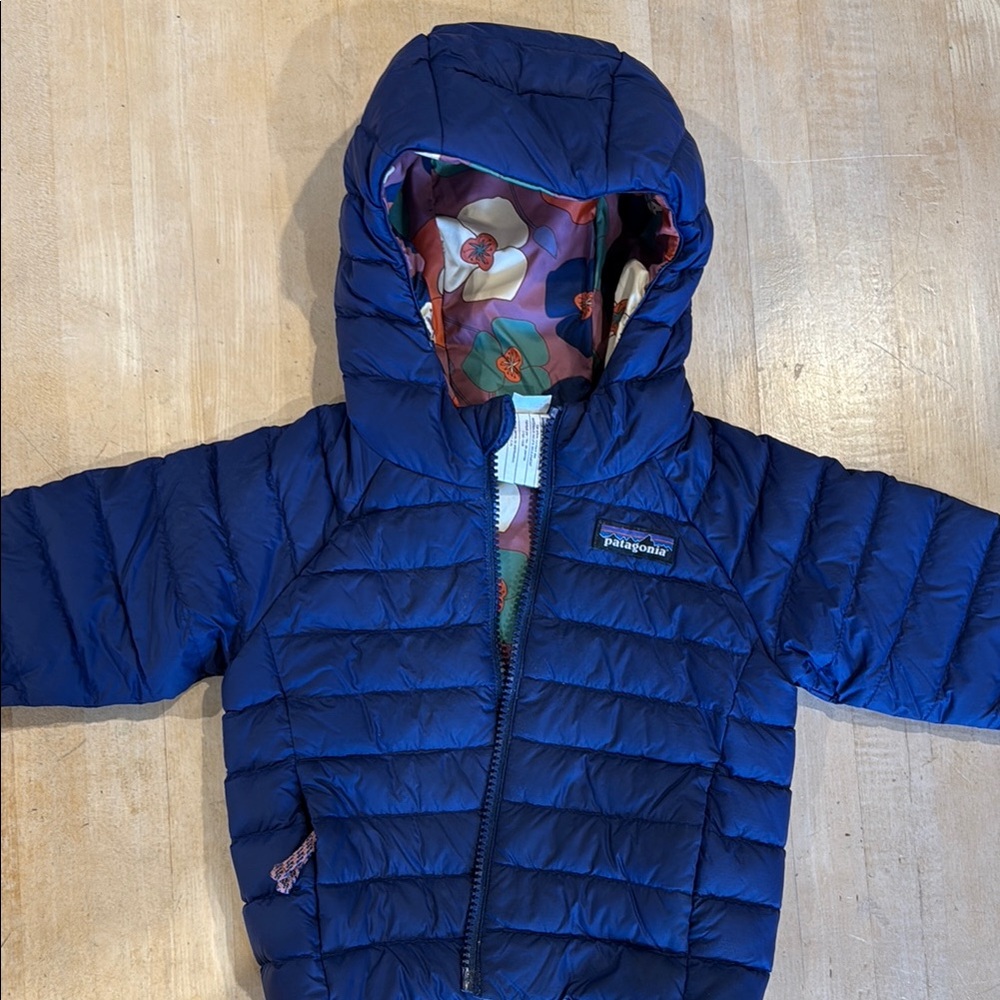 Patagonia Blue Hooded Puffer Jacket